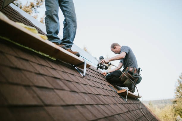 Best Roof Gutter Cleaning  in Haymarket, VA